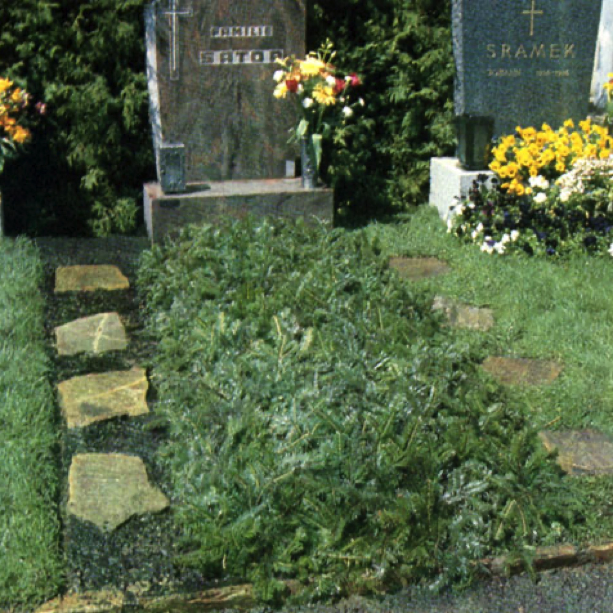 Grab-Reisigabdeckung Friedhofsgärtnerei Provasnek Graz