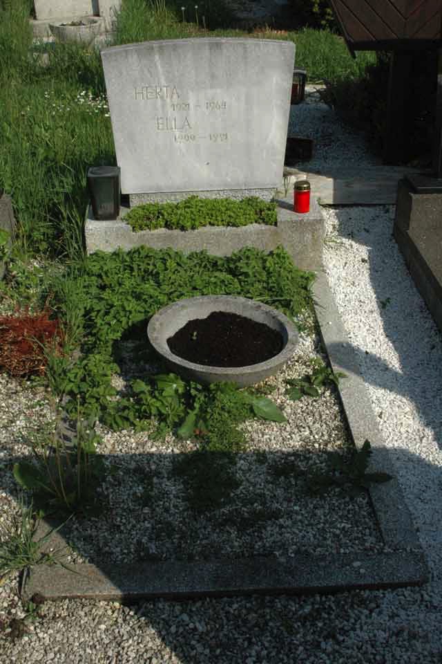 Individuelle Grabbepflanzung Friedhofsgärtnerei Provasnek Graz