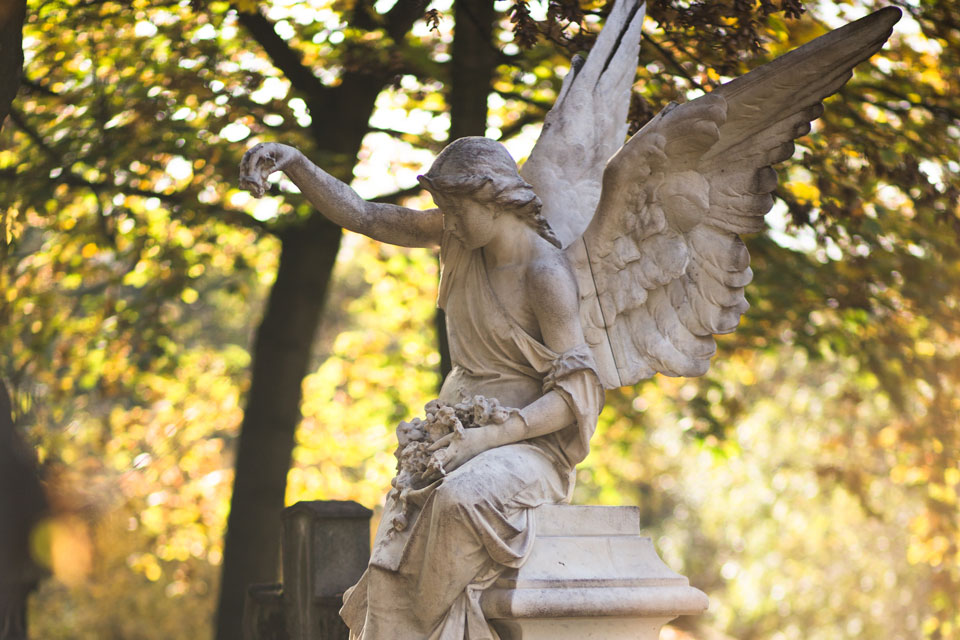 Grabpflege Friedhofsgärtnerei Provasnek Graz